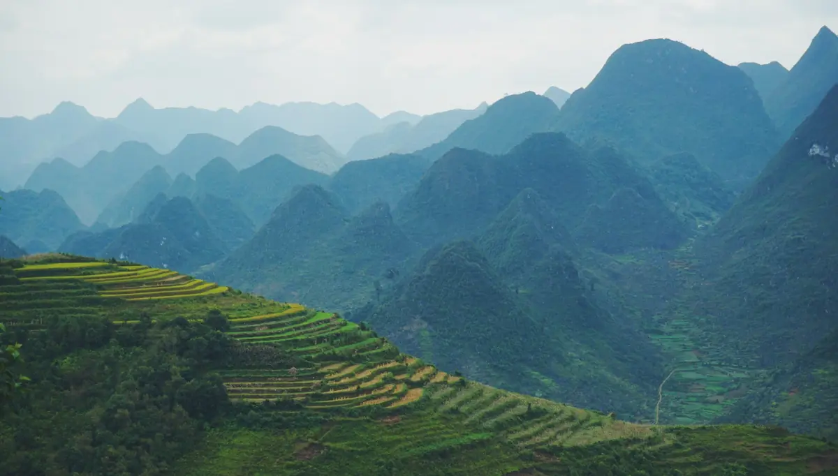 Blaue Karstkämme hinter einem terrassierten Hang in Ha Giang