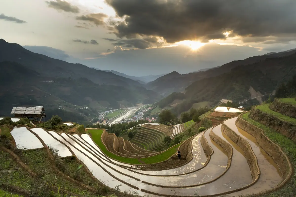 Terrassierte Reisfelder im warmen Abendlicht in Ha Giang