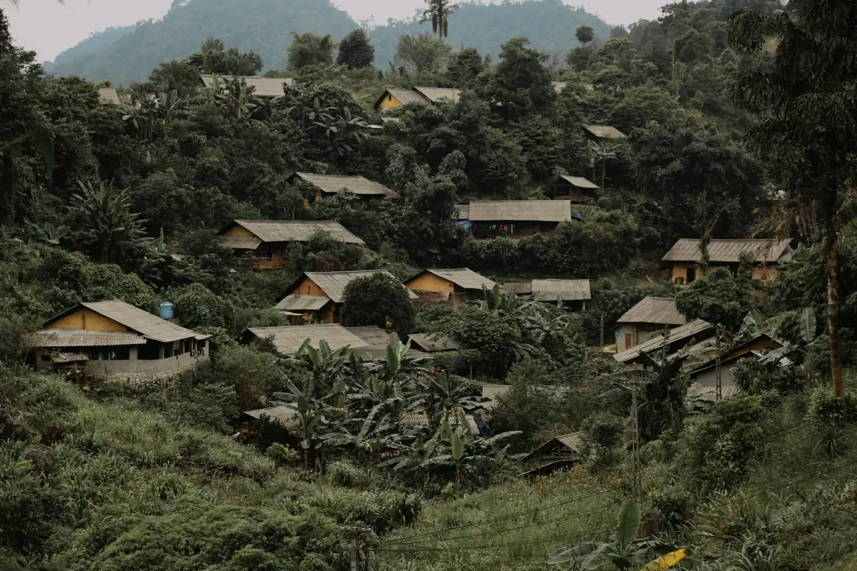 Dächer eines Bergdorfs zwischen Bäumen in Ha Giang