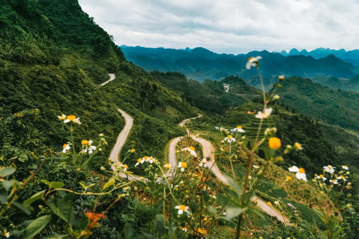 Wildblumen über einer kurvigen Bergstraße im Hochland von Ha Giang
