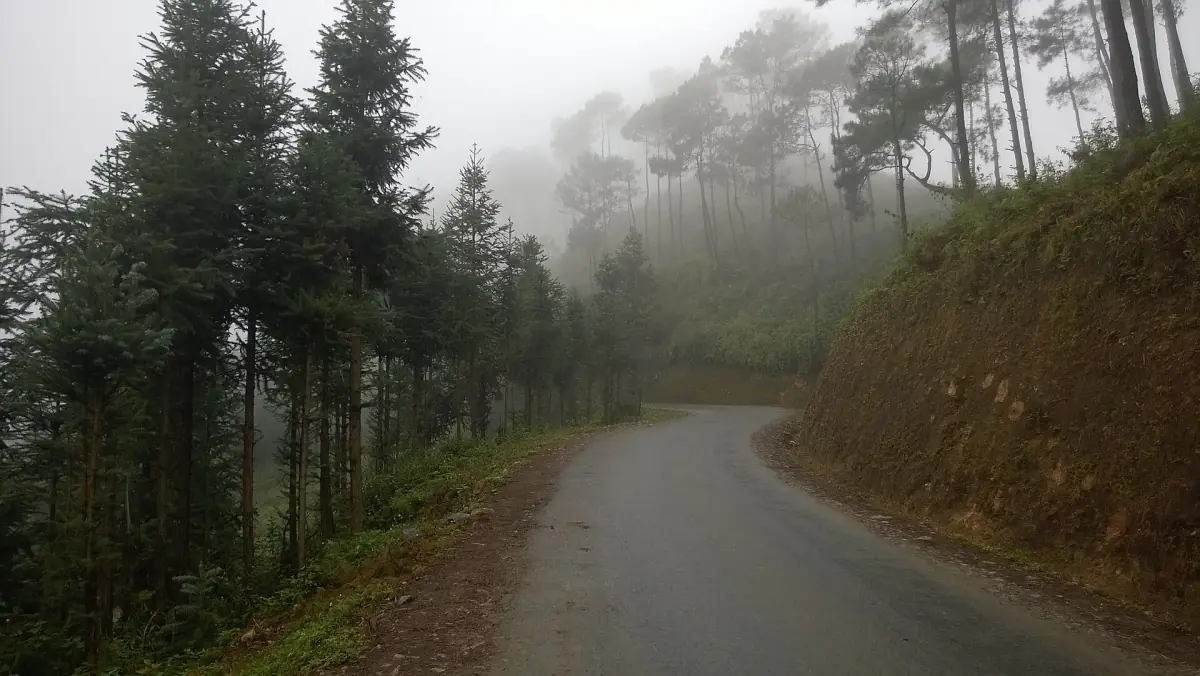 Ruhige Straße durch Kiefernwald und Nebel im Bezirk Yen Minh